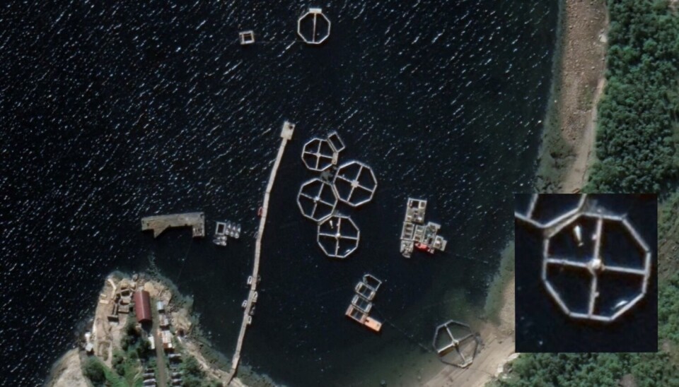 Satellite images from Goryarchiye Ruchyi in Kolabukta near Murmansk, Russia. The image shows the beluga facility Hvaldimir may have belonged to before he escaped.