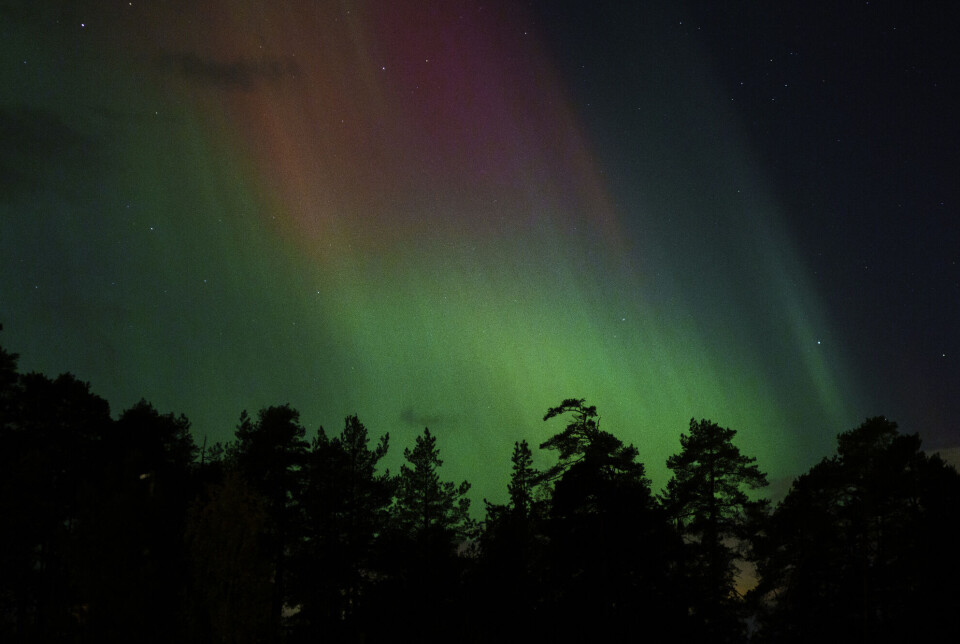 Not to worry – the chances of seeing the northern lights have been good, but they are about to get even better, according to a Norwegian astrophysicist.