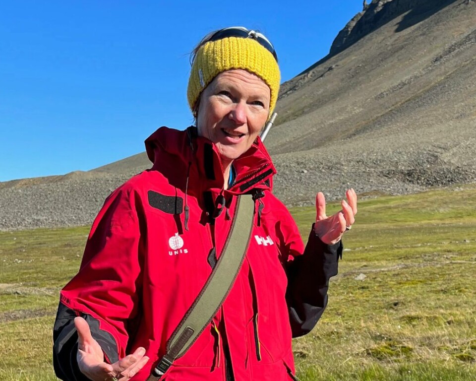 Lise Øvreås investigates how grazing geese affect permafrost and plants on Svalbard.