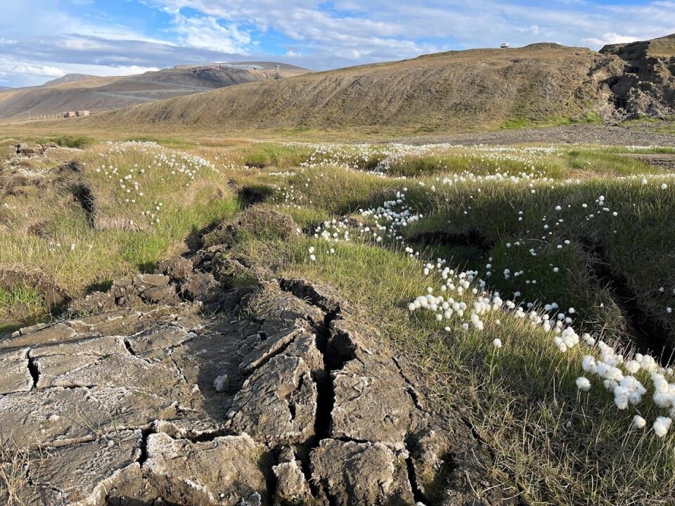 When the moss insulating the permafrost is gone, both heat and microbes penetrate deeper into the ground.