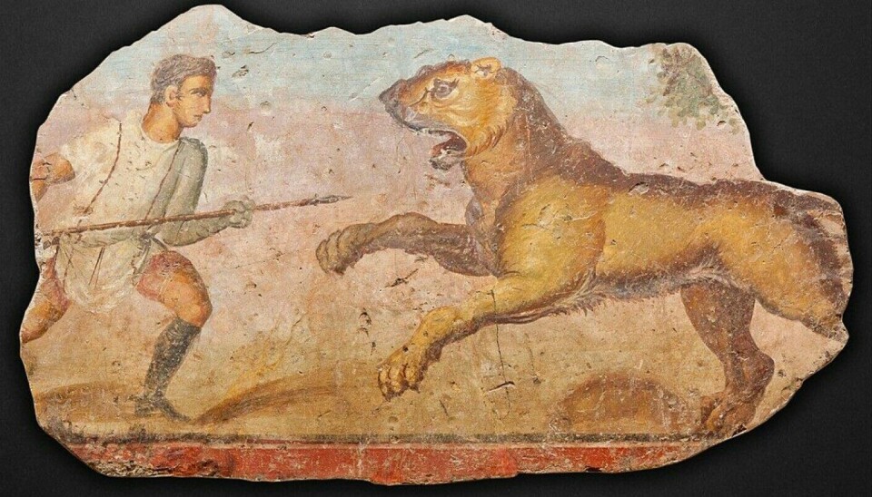 Mural showing a type of gladiator and a lion from the Merida amphitheatre in Spain.