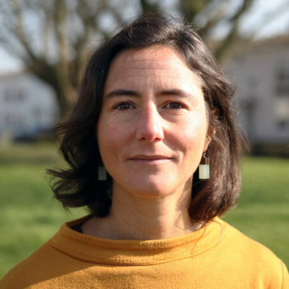 Irene Maldini is a senior researcher at OsloMet.