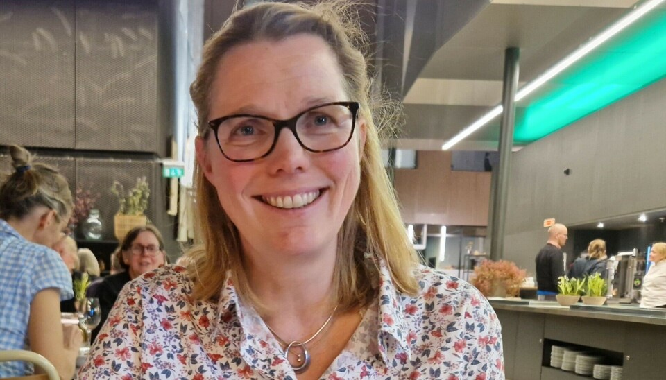 Ragnhild Hutchison is a historian and managing director of Tidvis, a company that shares information about history in various ways.