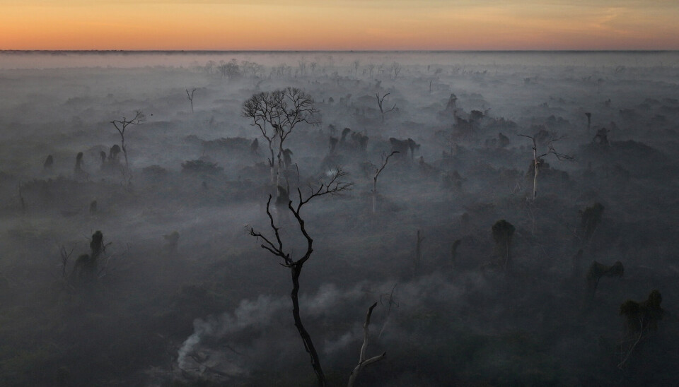Smoke from a forest fire in the Pantanal, Brazil, in June 2024. The wildfire season in South America was the worst ever recorded, according to NRK.
