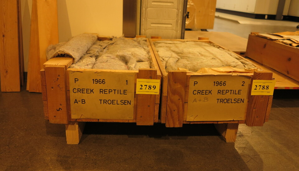 Some of the bones were packed away in these boxes.