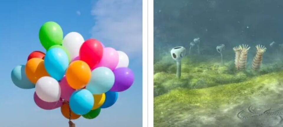 Top 10 of 2024: Helium, a medieval gauntlet, and the oldest animals on Earth