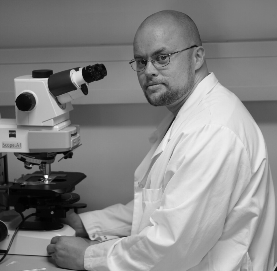 Asgeir Kobro-Flatmoen at NTNU's Kavli Institute studies neurons in the brain to identify exactly which neurons are the first to become affected when someone develops Alzheimer's.