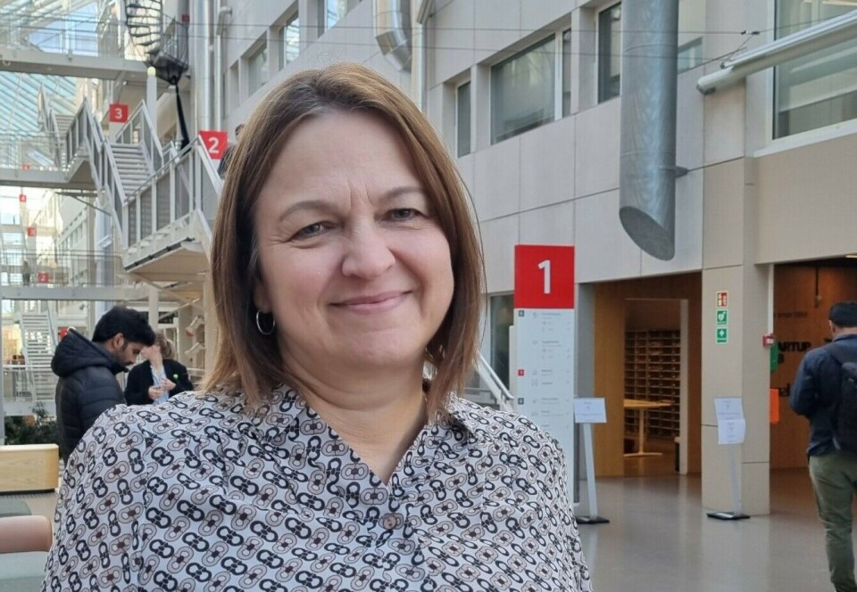 Many individuals develop chronic conditions before receiving adequate help, explains Laila Bratterud Mathisen, Secretary-General of Headache Norway.