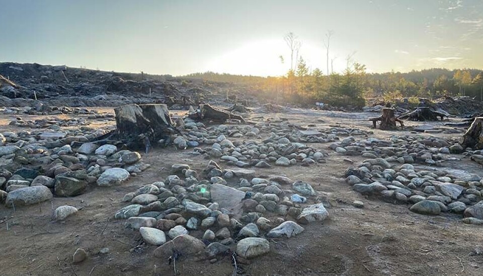 Archaeologists were supposed to excavate some Stone Age settlements but came across a large burial site from between 800 and 200 BCE – where mainly babies were buried.