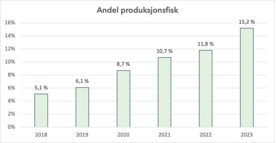 Just a few years ago, far fewer fish were classified as production fish. In 2018, the figure was just five per cent, according to the Norwegian Food Safety Authority, which oversees fish farms.