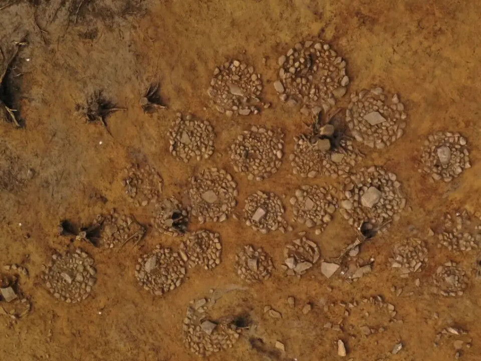A drone image from the children's burial site. Aerial photo showing circular rock formations.