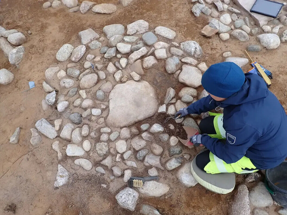 The stone circles measured between 1 and 2.5 metres in diameter. Close up of one of the circular rock formations with an archaeologist in blue gear.