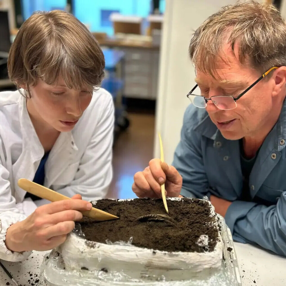 Conservator Hege Ingjerd Hollund and archaeologist Volker Demuth.