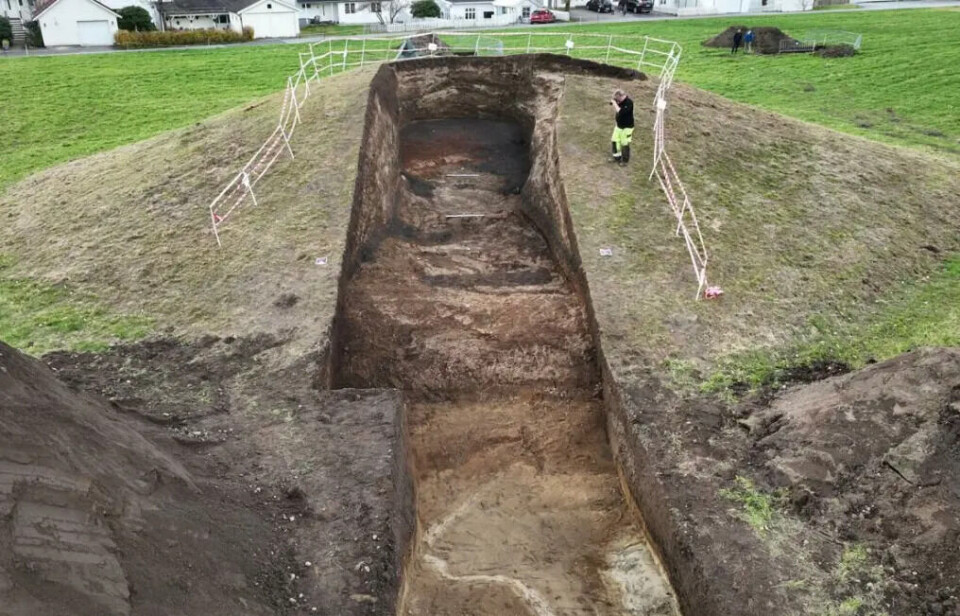 The archaeologists dug exactly where Anders Lorange excavated 150 years ago, in the Myklebust burial mound at Nordfjordeid.