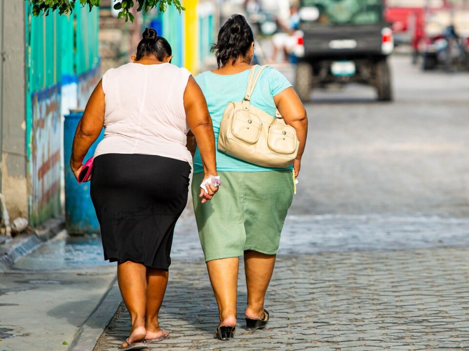 In Mexico, 75 per cent of the adult population is now obese or overweight. The proportion is among the highest in the world.