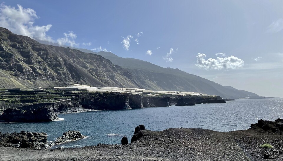 The volcanic ridge on the southwest side of La Palma, which could collapse into the sea. The white patches on the cliffs are banana plantations.