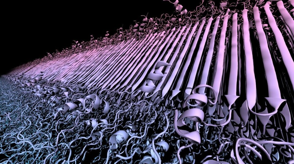 This is what protein clumps associated with Huntington's disease look like.