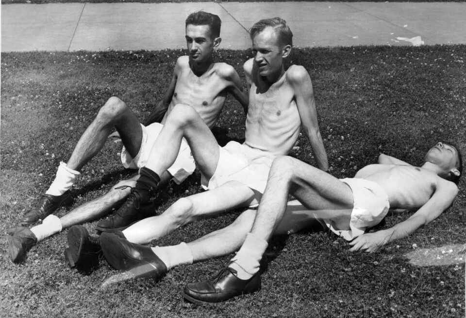 Three of the volunteers in the Minnesota Starvation Experiment take a break on the grass. By the end of the experiment, the young men had become extremely underweight and malnourished.