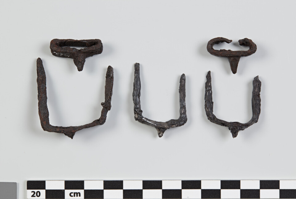 Horse ice grips from the Viking Age.