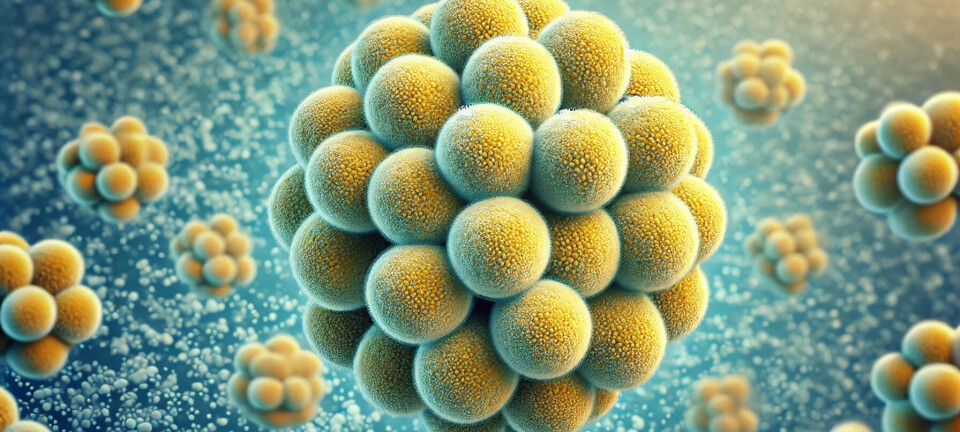 This bacterium outsmarts our defences, but we are on its heals