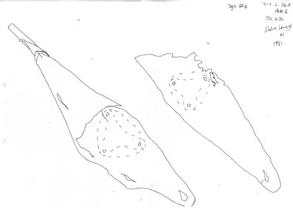 Archaeological sketch of a medieval find from Tønsberg, showing how the triangular stud would have been attached to the leather strap.