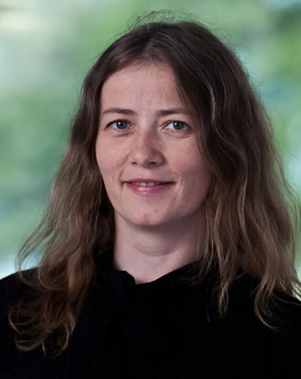Sabine Eckhardt researches pollution found in ice cores.