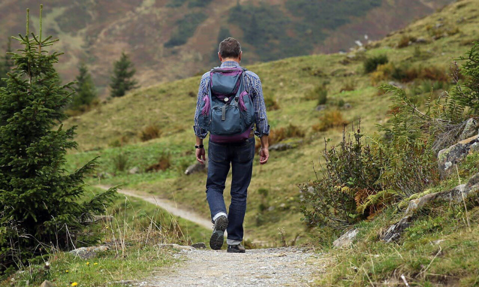 'The results are positive, but there are some reservations,' says Hilde Lohne-Seiler. Photo shows the back of a man with backpack walking on gravel path