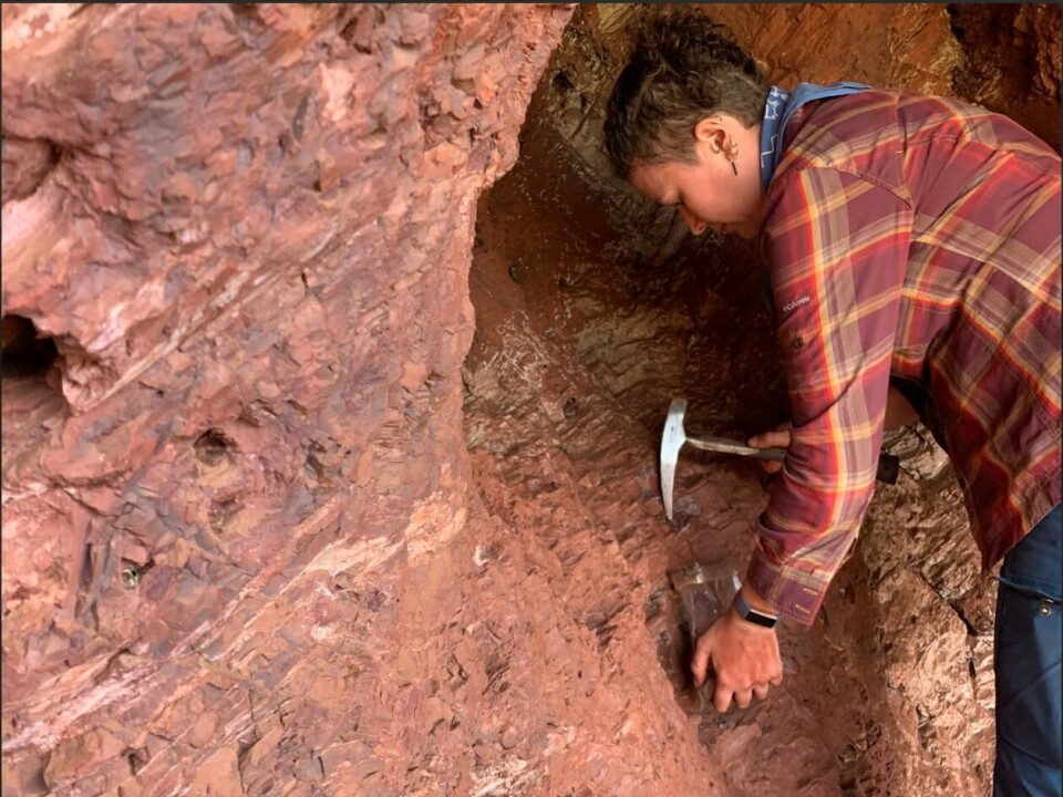 Elizabeth Velliky has a background in archaeology and uses methods from archaeometry, geology, and anthropology to study ancient uses of pigments and the implications for human cultural evolution.