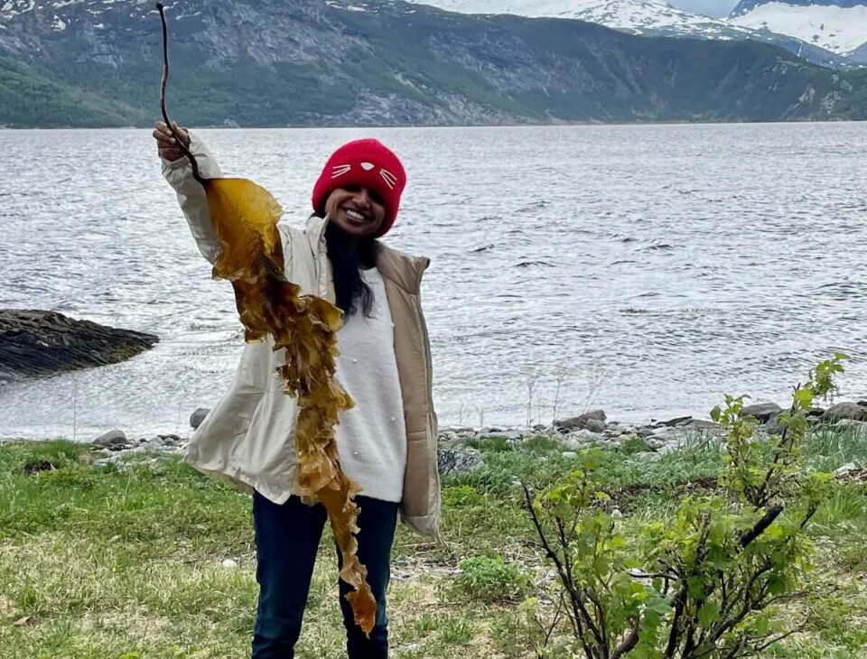Ananya Khatei was a Ph.D. student at Nord University. She is now a researcher at ICAR - Directorate of Coldwater Fisheries in Bhimtal, India.