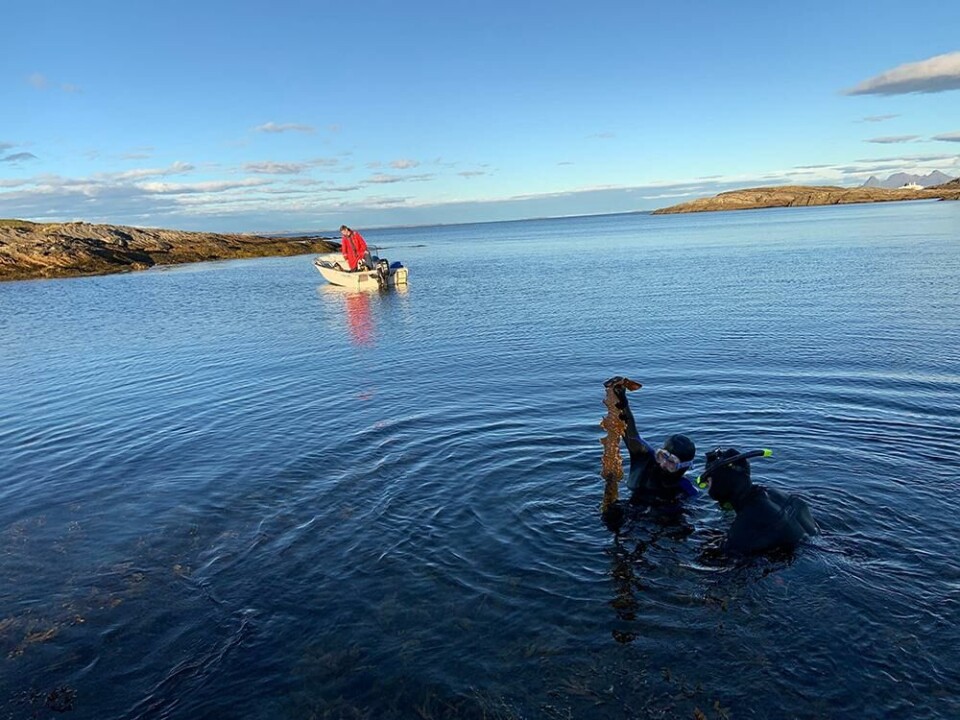 Genetic diversity is crucial for species to adapt to a changing environment.