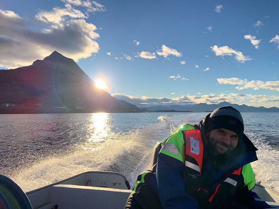 “We see that brown algae have an ability to 'remember' the stress they have been exposed to, allowing them to better withstand it when they encounter it again” says researcher Alexander Jüterbock.