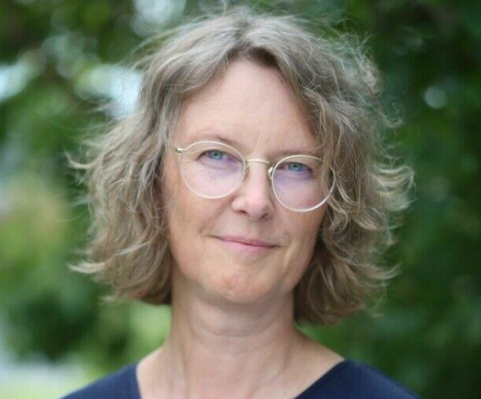 Monica Hauger Carlsen is a member of the expert panel for additives, flavours, food packaging, and cosmetics at the Norwegian Scientific Committee for Food and Environment (VKM).