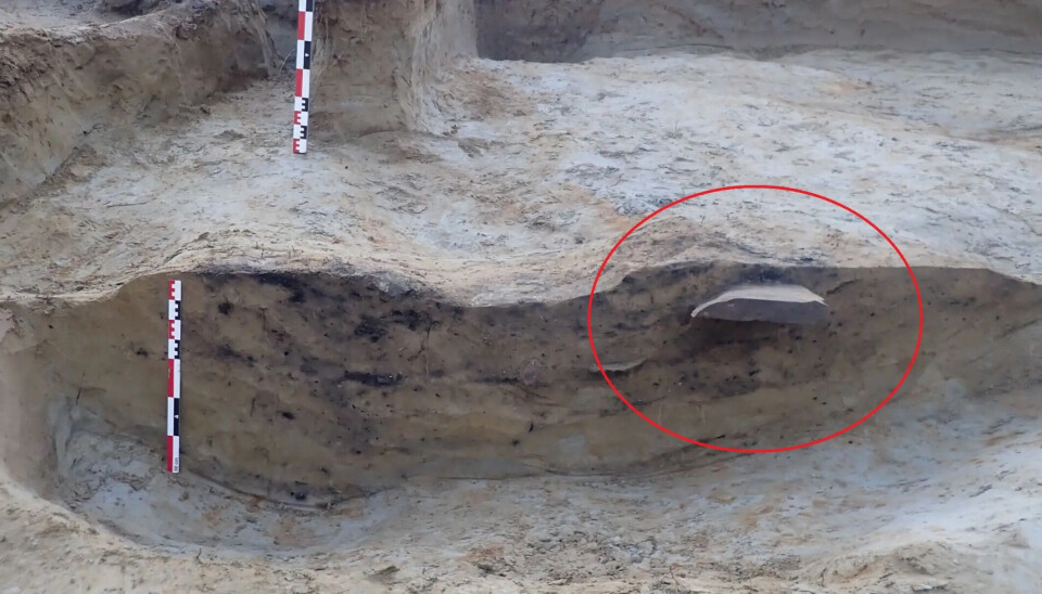 A section of the Hole runestone is highlighted with a red circle in this image, showing how it protruded in the excavation site. When this photo was taken, no one knew about the runes.