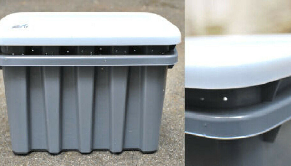 This is where Kristine Ullaland's worms lived while they gnawed away on her food waste.