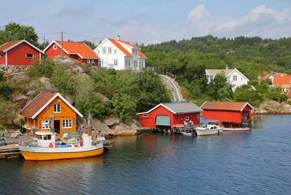 The fishermen themselves highlight the possibility of preserving fishing traditions in the region by releasing young cod to increase the population.