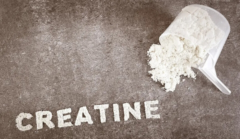 An average person needs about one gram of creatine per day.