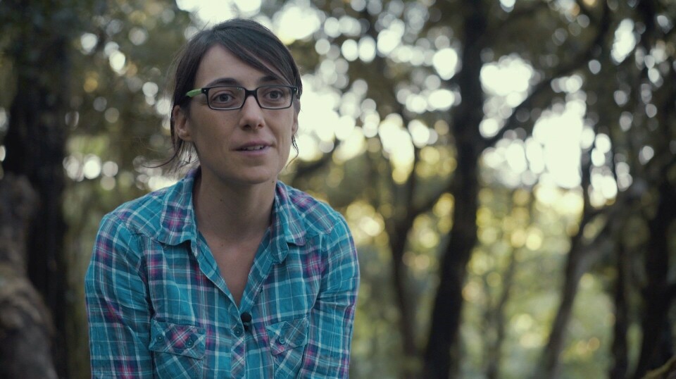 Aida Cuni-Sanchez is a tropical forest ecologist and ethnobotanist at NMBU.