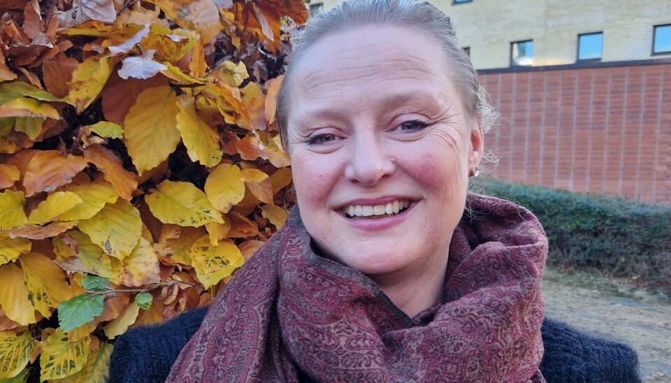 Iselin Frydenlund is a professor at MF Norwegian School of Theology, Religion and Society.