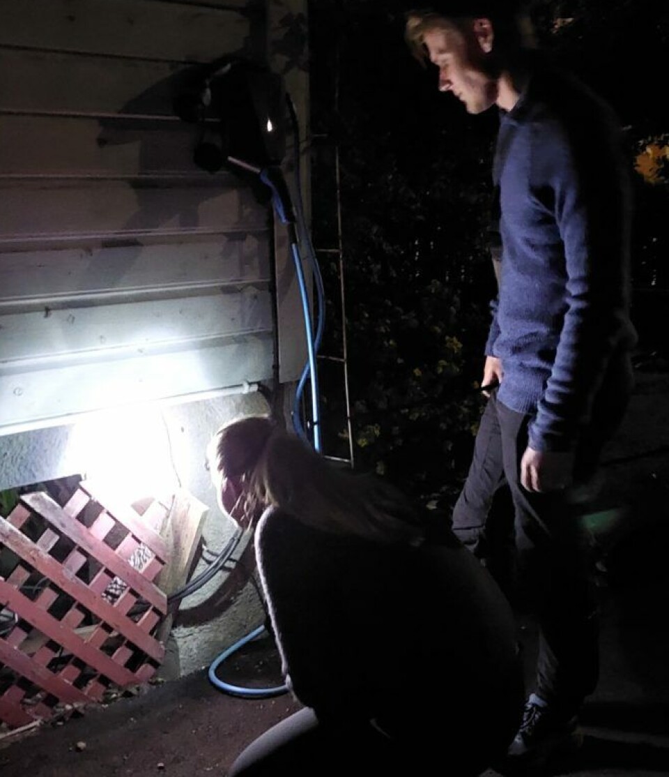 Students Milla Mona Sophie Albertsen and Marius Stener Floden tracked down a hedgehog that has built a nest among garden tools under a veranda. To personer ser på pinnsvin med lykter