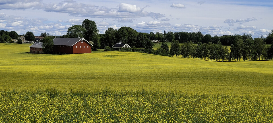 Nine facts about Norwegian agriculture