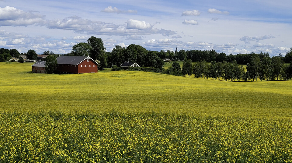 Agricultural landscape in the southeast of Norway.