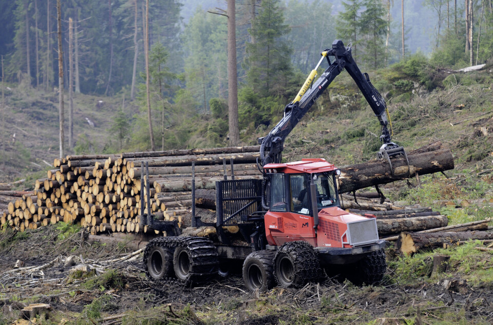 Forestry in Østfold county, Eastern Norway.