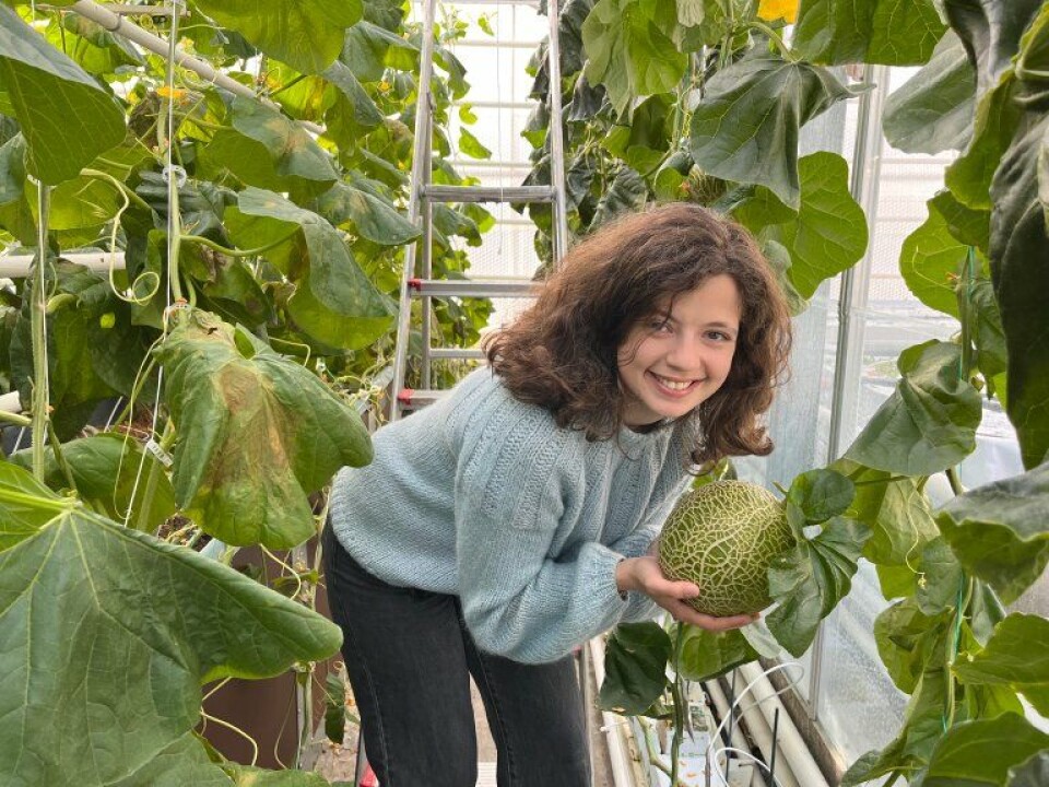 Carolina Palmer is optimistic that Norwegian consumers will be able to buy Norwegian-grown melons and avocados within ten years.