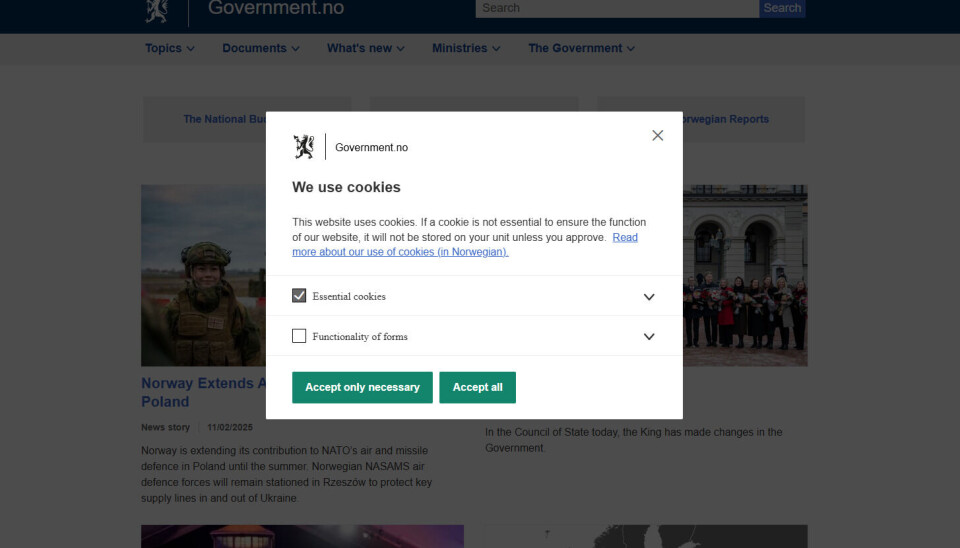 This appears on the screen when you visit government.no.