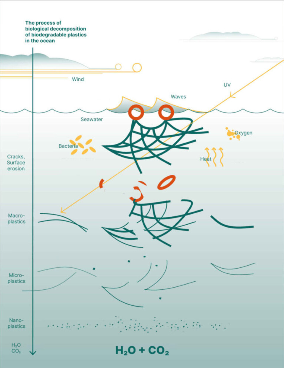 The principles behind the degradation of plastic in the ocean.