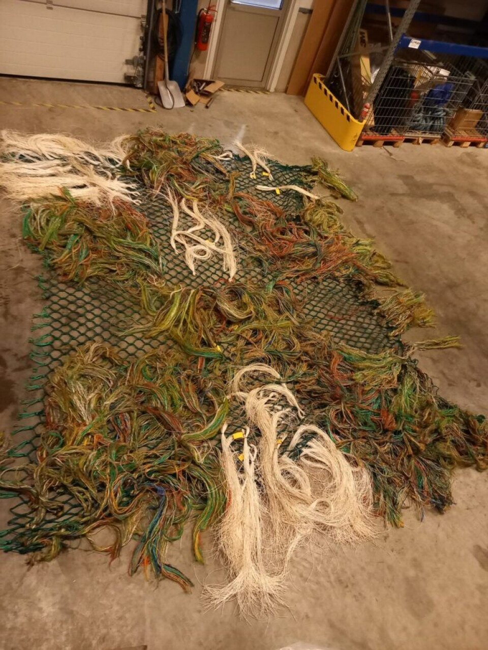 This photograph of a trawl mat was taken after being used under the trawl net on a voyage with the trawler Hermes. The image clearly shows that ordinary trawl threads (colourful) wear rapidly, while biodegradable bio-polyester (white monofilaments) withstand more wear and last much longer.