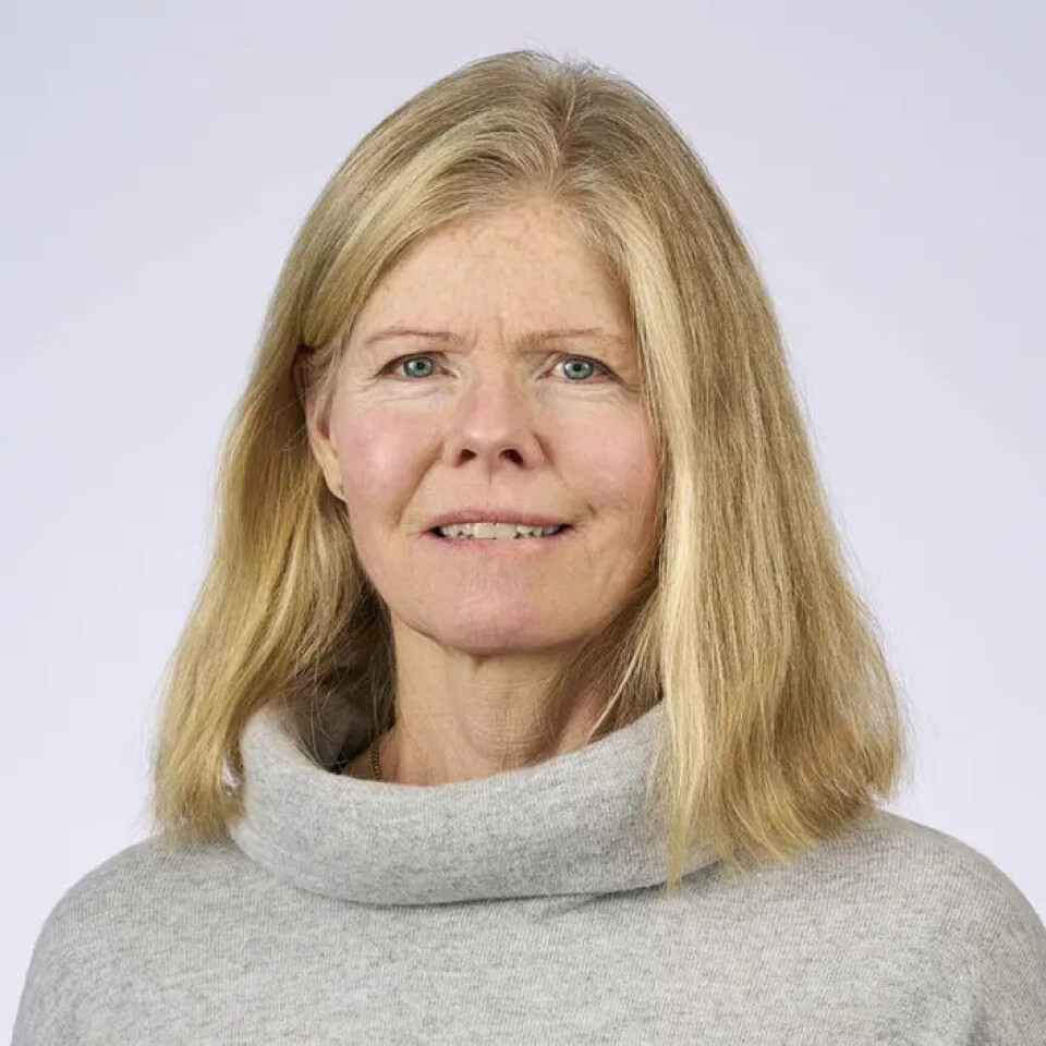 “Future generations cannot address these issues themselves,' says researcher Marianne Takle.