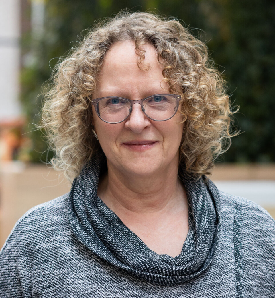 Linda Ruth Wheeldon is a professor of language at the University of Agder.