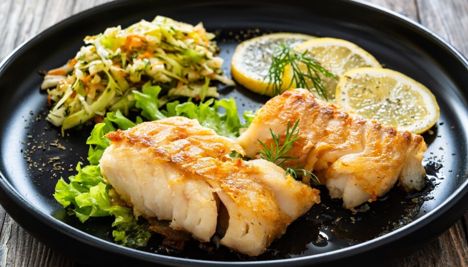Norwegian researchers have found a link between a mother's fish consumption and juvenile arthritis. What does this mean?