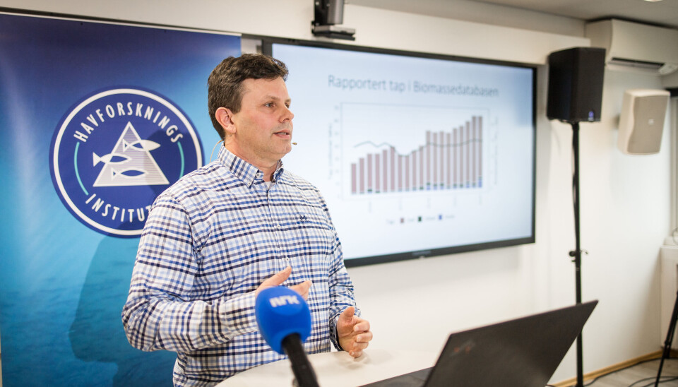 Lars Stien is an animal welfare researcher at the Institute of Marine Research. He explains how salmon are faring along the Norwegian coast today.